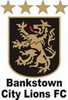 Bankstown City