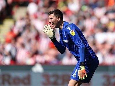 Costel Pantilimon (ROM)