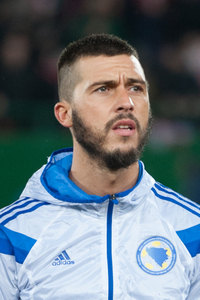 Haris Medunjanin (BIH)