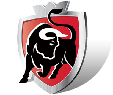 Jupiler League 2010/11League