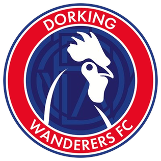 Dorking Wanderers S21