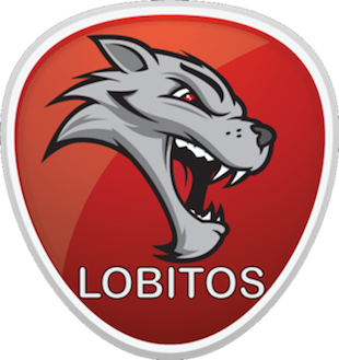 Lobitos Futsal Futsal U19