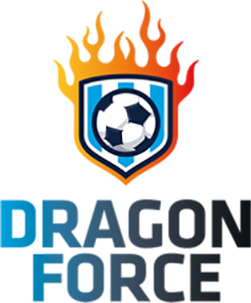 Dragon Force D