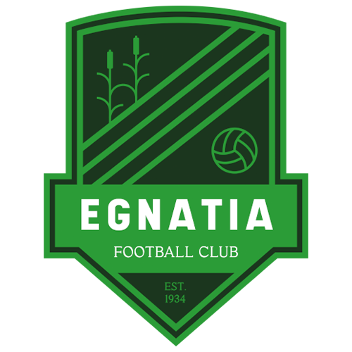 KF Erzeni vs Tirana teams information, statistics and results