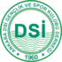 Ankara DSI Era