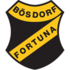 SV Fortuna Bsdorf