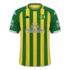 Aldosivi