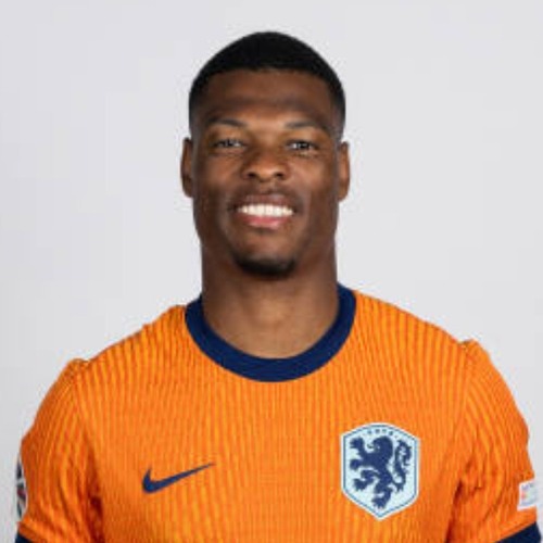 Denzel Dumfries