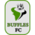 Buffles du Borgou FC