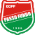 Passo Fundo