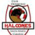 Halcones